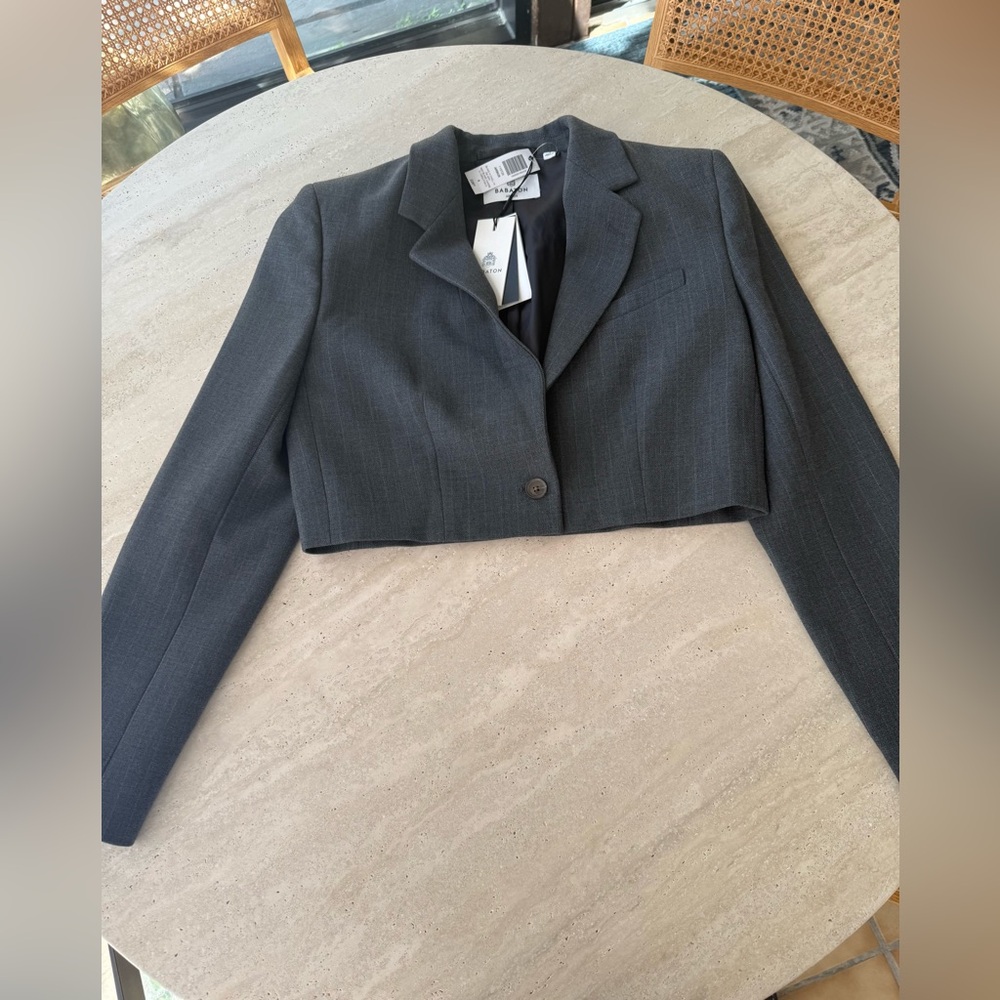 Aritzia Babaton Charcoal Pinstripe Cropped Arbus Blazer NWT 4
